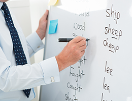 English Subject Leader Development